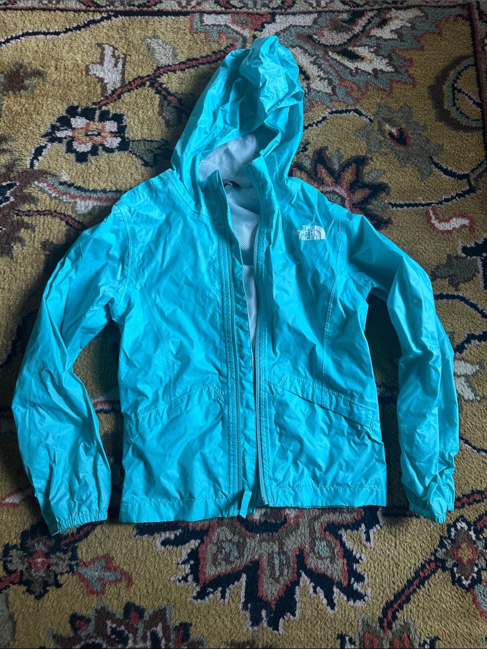 The North Face Aqua Hooded Windbreaker Jacket